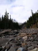 Newton Creek Oct 16 2005 052 